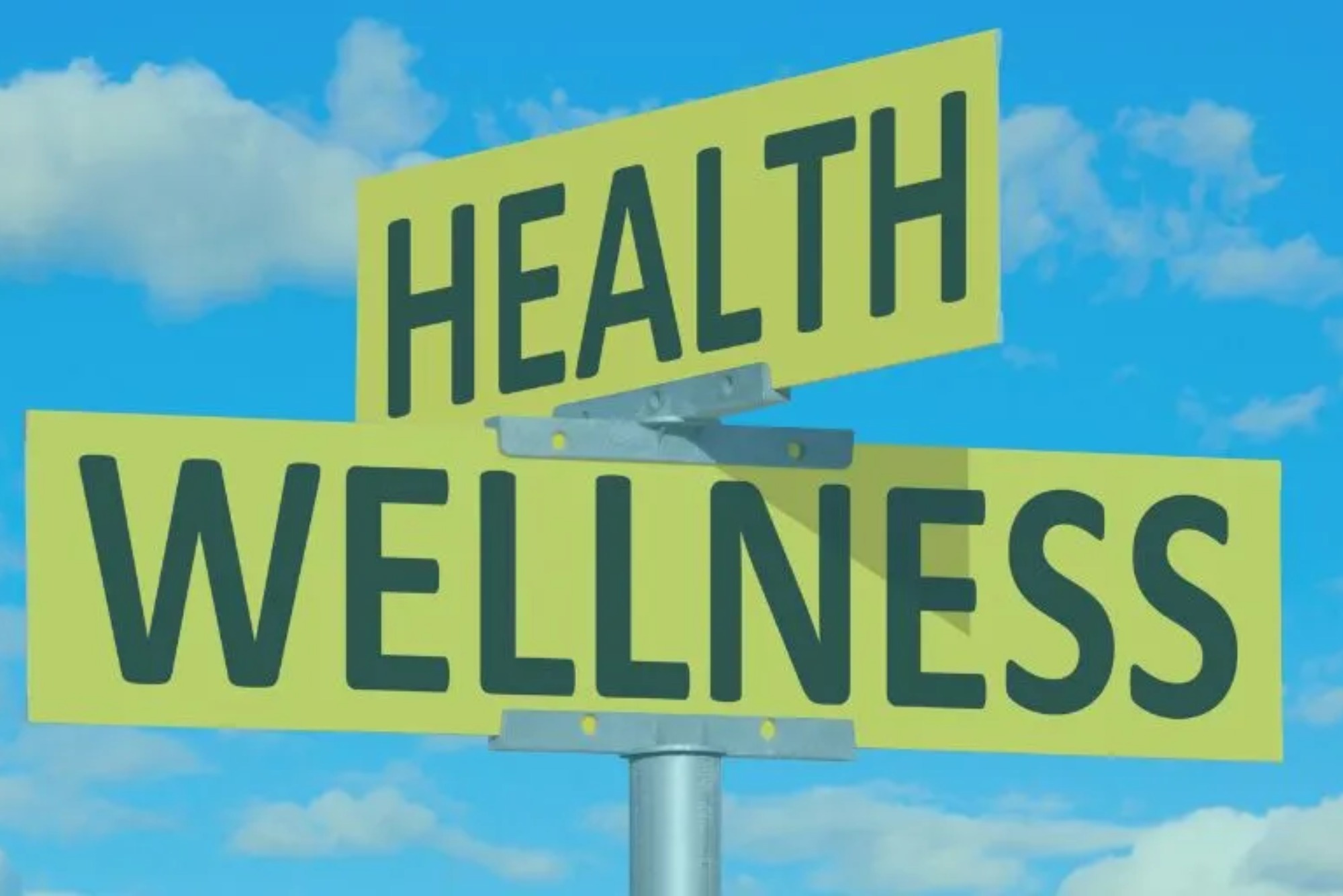 how are the components of health are related to wellness.